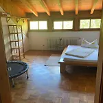 Im Bodenseeraum 公寓 奥斯特拉赫