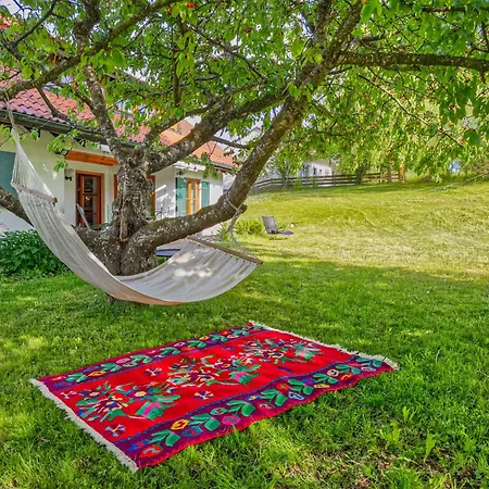 Appartement Im Bodenseeraum Ostrach