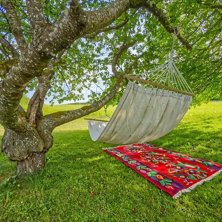 Appartement Im Bodenseeraum *